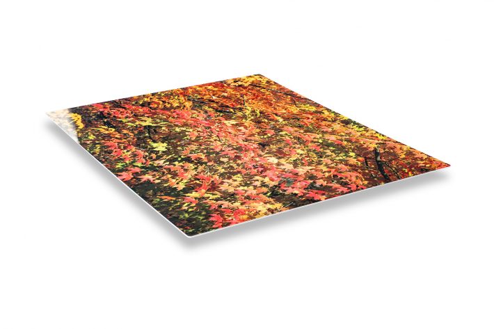 Digital-Butler-Metal-Printing-1