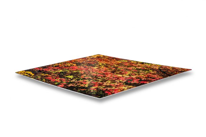 Digital-Butler-Metal-Printing