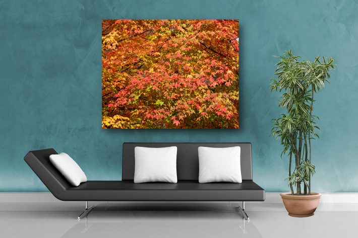 Metal-print-hang-on-wall